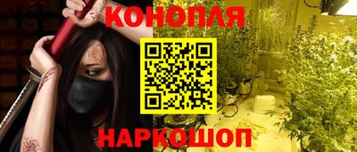 СК Краснознаменск