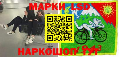 СК Краснознаменск