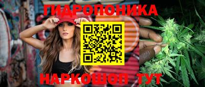 эйфоретик Краснодар